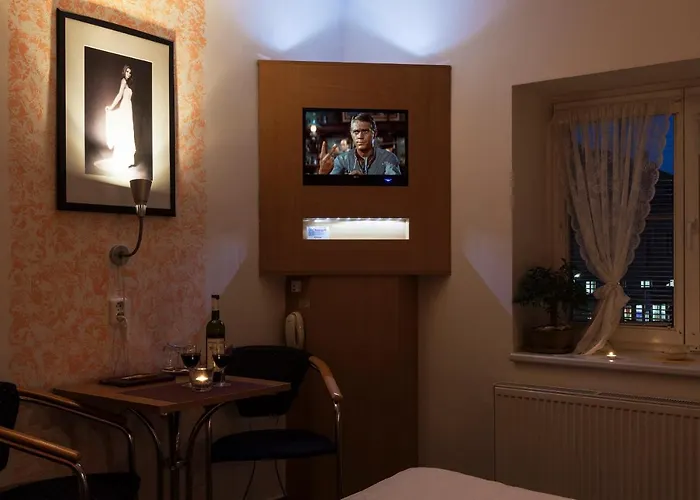 Πανσιόν Sirius Vyškov